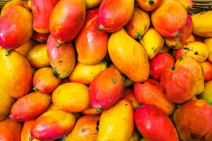 mangue-traitement-cote-divoire